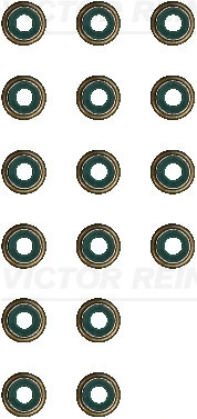 Seal Set, valve stem